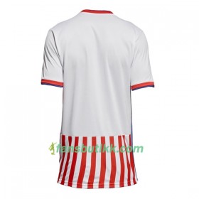 Fotballdrakt Paraguay Hjemmetrøye 2018